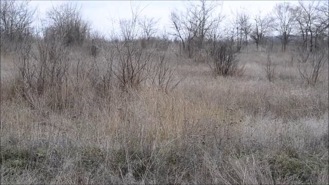 ПРИБОР ДЛЯ ПОИСКА ЗОЛОТА РАБОТАЕТ !!?? смотреть онлайн