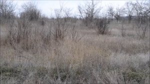 ПРИБОР ДЛЯ ПОИСКА ЗОЛОТА РАБОТАЕТ !!??