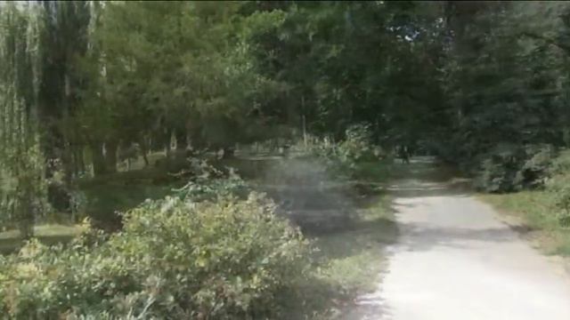 2017 Дендропарк Александрия Белая Церковь смотреть онлайн