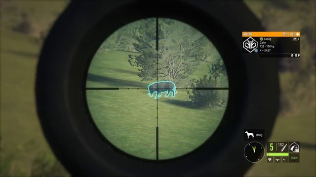 Hunting the Newly Changed Vurhonga Savanna! | + Diamond Wildebeest смотреть онлайн