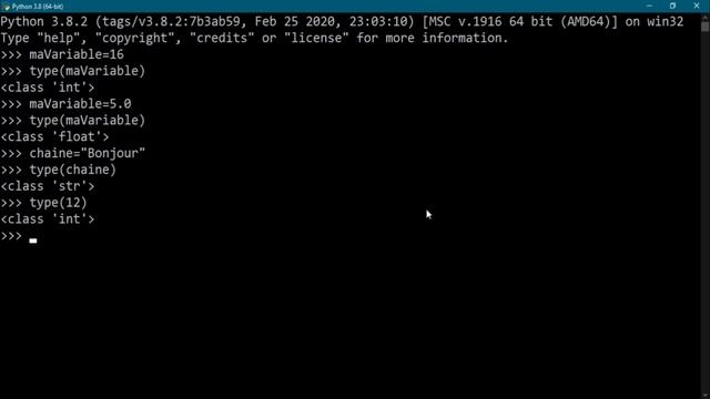 Les fonctions type() et print() en Python смотреть онлайн