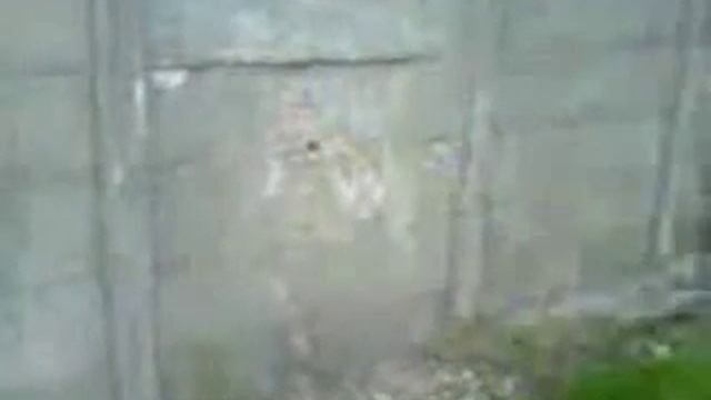 жопа ноге!!!! смотреть онлайн