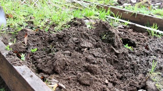 АЗОТНЫЕ УДОБРЕНИЯ: КАКИЕ ВЫБРАТЬ, КОГДА И КАК ВНОСИТЬ. смотреть онлайн