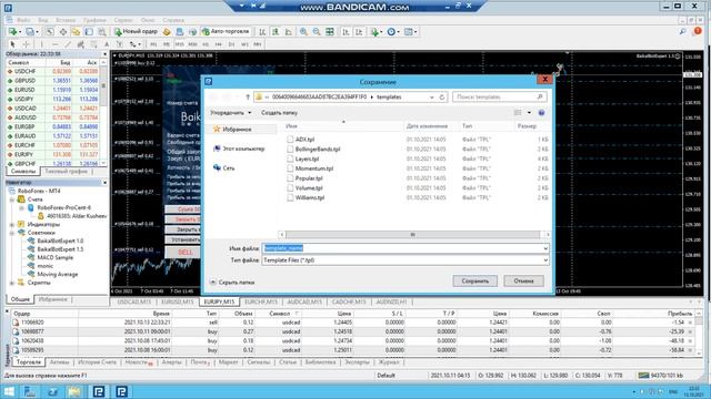 Обновление BaikalBot Expert версия 1.5 от 15.10.2021 смотреть онлайн