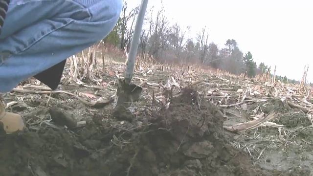 Swinging the Tejon, Four!! смотреть онлайн