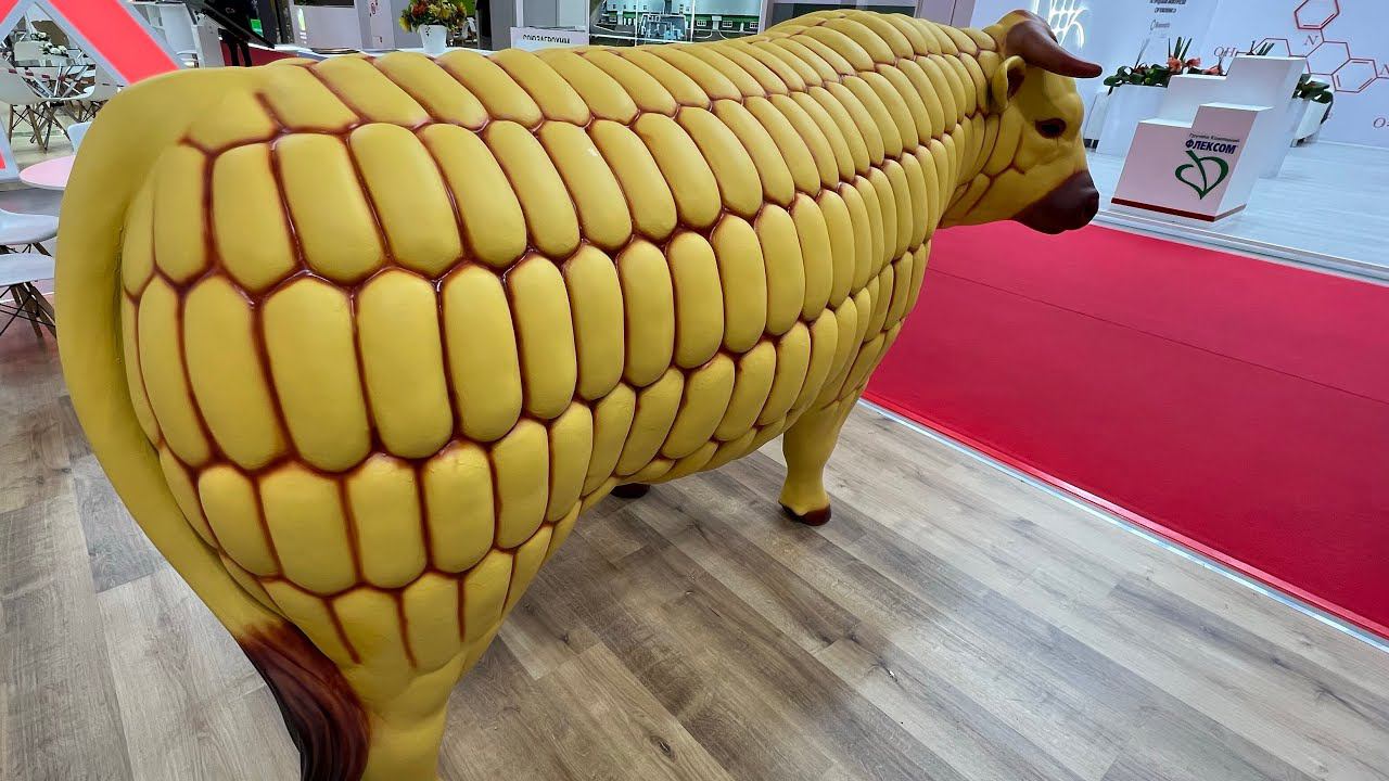 Все в зимней уборке кукурузы All in winter corn harvest смотреть онлайн