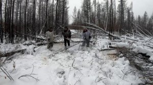 Промысел соболя в Якутии. Едем на рыбалку сквозь пожарище и завалы. Часть третья.