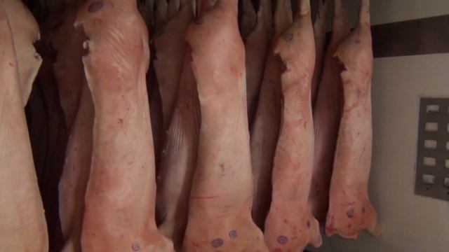 СЕМИНАР В КАЛИНИНГРАДЕ смотреть онлайн