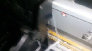 Принтер Epson.  Шлейф оптопары.