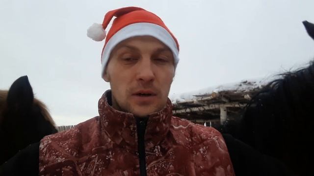 Новогодние поздравление!!!!!!