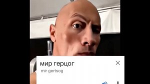 Мир Герцог на английском