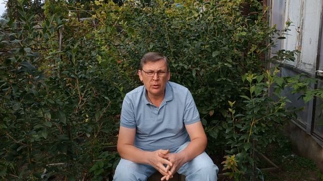 Голубика осенняя обработка от грибковых заболеваний. смотреть онлайн