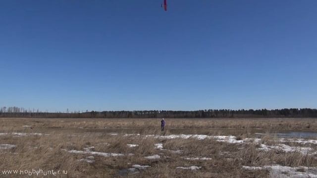 Кордовый самолет под тануру