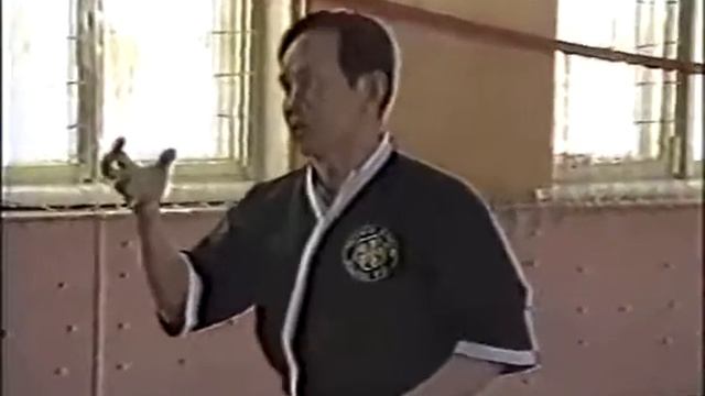 ВИН - ЧУНЬ КУЕН ПАЙ ... Вьетнамский Вин чун Семинар №4 смотреть онлайн