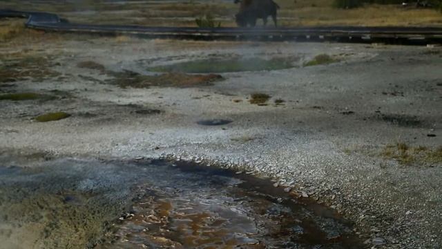 Yellowstone. Йеллоустоун парк, США.