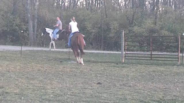 2012 Git R Done George off track thoroughbred смотреть онлайн