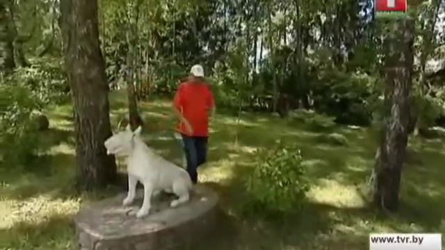 ДРУЯ (Все Путем) смотреть онлайн