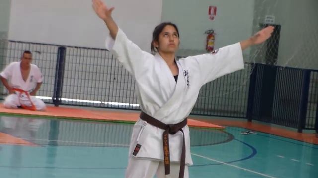 1º CAMPEONATO REGIONAL DE KARATE KYOKUSHIN KAIKAN - ARTUR NOGUEIRA - PARTE 14 смотреть онлайн