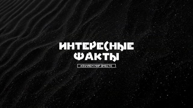 ? Какой самый крупный обитатель океана? - топ самых крупных животных в воде смотреть онлайн
