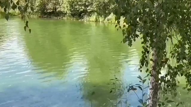 НИКУДА ОНА НЕ УЙДЁТ! ОЧЕРЕДНОЙ РАЗВОД! ИННА СУДАКОВА. смотреть онлайн