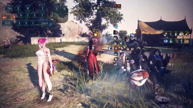 BDO Corsair обновлённая жизнь Капитана Новый скилл и как всё круто закомбить Black Desert смотреть онлайн