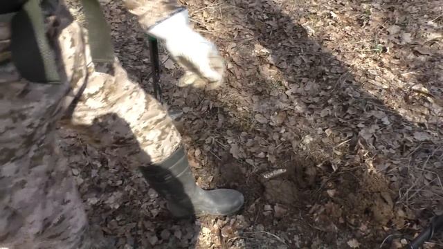 ЧТО МОЖНО НАЙТИ ВОЗЛЕ ДАЧ и СНТ? Поиск с металлоискателем Nokta Anfibio Multi