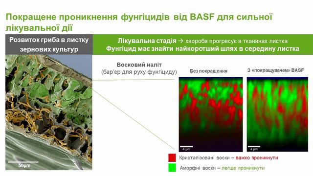 Хімічна кухня. Серія 5 Інновації BASF та шлях фунгіциду смотреть онлайн