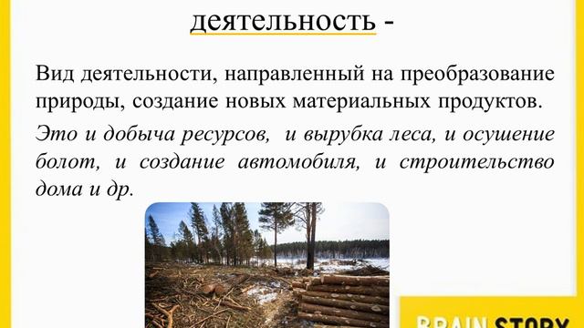2.3.11 Виды деятельности Материально производственная. ОГЭ по Обществознанию смотреть онлайн