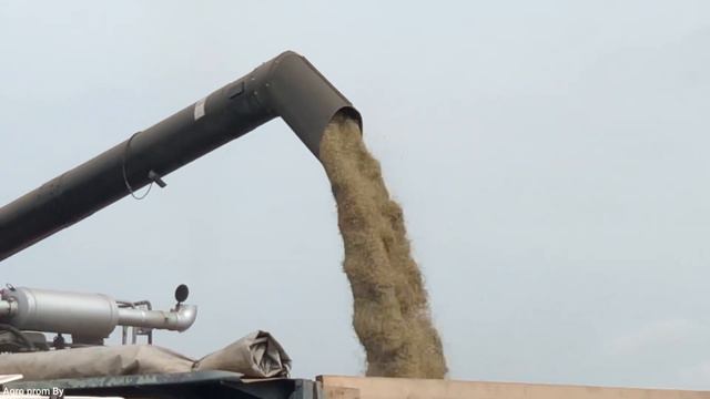 Уборка овса / 3Х ПАЛЕССЕ GS12, ПАЛЕССЕ GS12A1 PRO, ПАЛЕССЕ GS12 PRO, 2Х МАЗ 5551 / смотреть онлайн