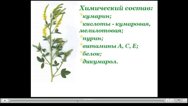 Донник Полезные свойства смотреть онлайн