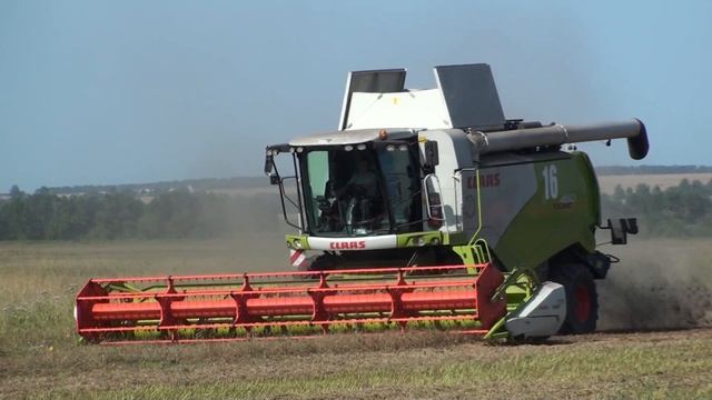 Уборка гороха CLAAS MEGA 360,TUCANO 450. смотреть онлайн
