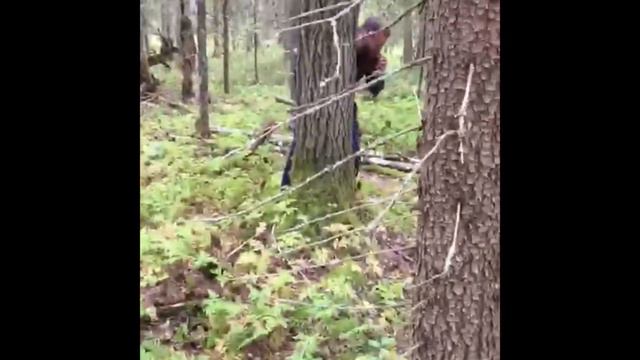 Карелия, рафтинг, путешествие смотреть онлайн
