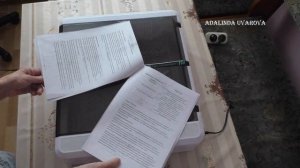 Автоматический инкубатор (HHD 36egg) на 36 куриных яиц. Распаковка, обзор и инструкция на русском