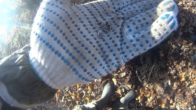 Лесные находки! смотреть онлайн