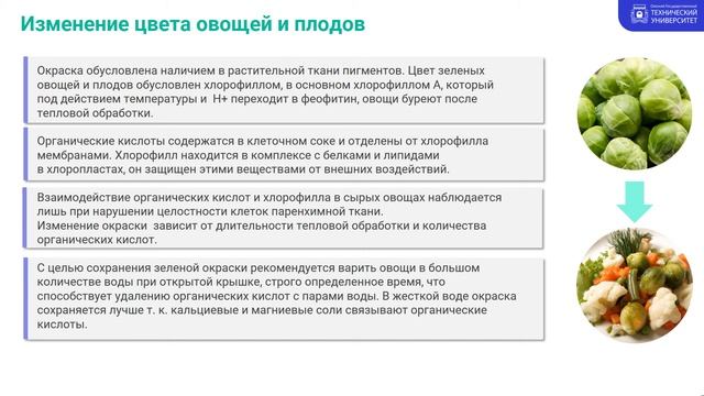 Физико-химические процессы, протекающие при тепловой обработке овощей смотреть онлайн