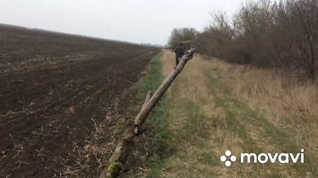 НЕОБЫЧНАЯ РЫБАЛКА НА ПАУК В МАЛОЙ РЕЧКЕ. ЛОВЛЯ ЩУКИ В ПРОЗРАЧНОЙ ВОДЕ. смотреть онлайн