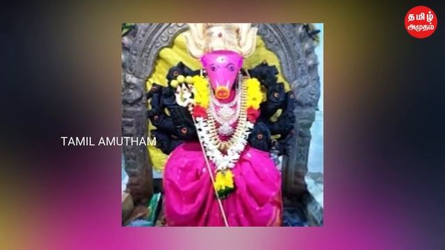 எந்த ராசிக்காரர்கள் வாராஹி அம்மனை வழிபடலாம் | Varahi Amman Worship | Benefits | Jothidam | Josiyam