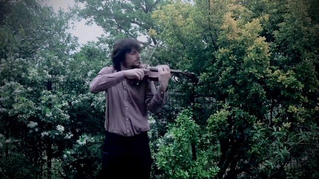 Swan Lake (Lac des cygnes) violin Лебединое озеро тема на скрипке смотреть онлайн