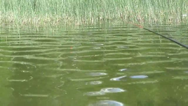 ловля карася с лодки смотреть онлайн