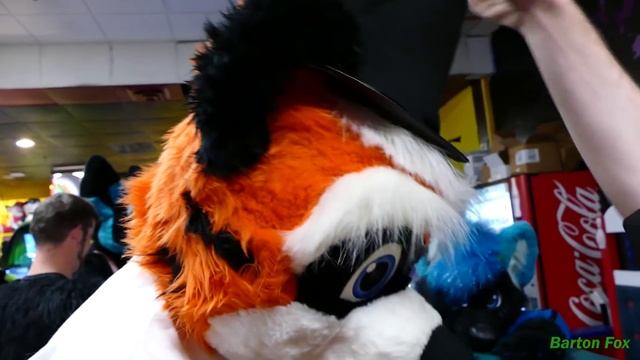 Mass FurBowl #37 - Random Clips смотреть онлайн