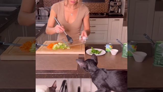 Юля Ковальчук Рецепт быстрого завтрака для детей смотреть онлайн