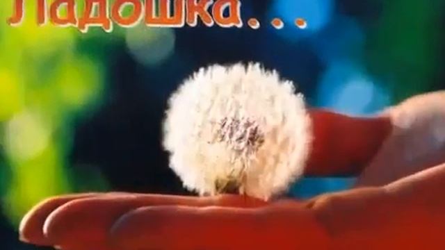 Села мошка на ладошку ай смотреть онлайн