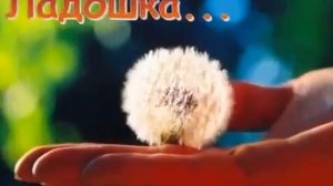 Села мошка на ладошку ай