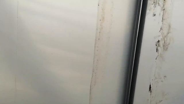 Ежевика в теплице смотреть онлайн