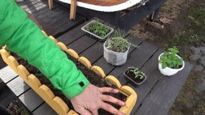 6 соток 28 марта 2023 год. Хроника.