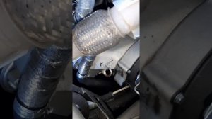 Стелс витязь 800. Небольшой обзор.