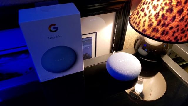 Free from Google New Google Nest Mini 2nd Generation sent to me for Free смотреть онлайн