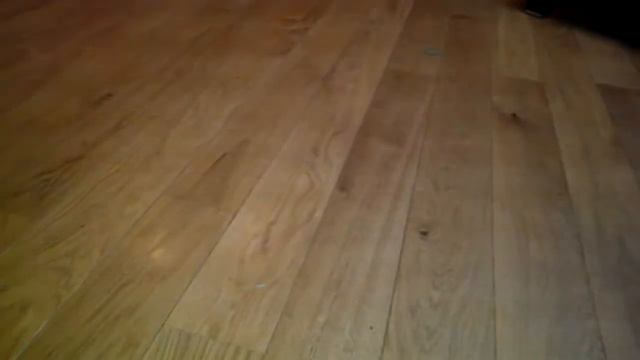 Кане корсо, корниш рекс, и рак. смотреть онлайн