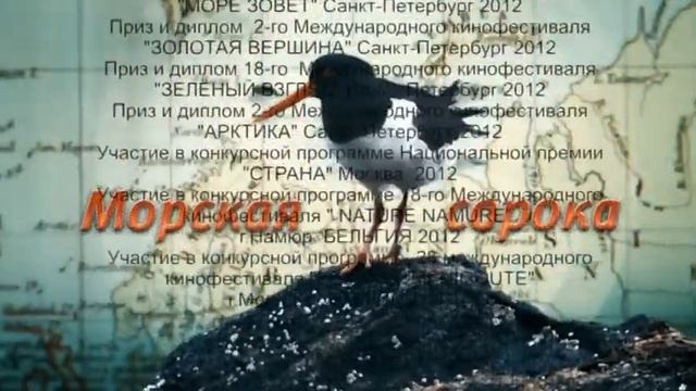 Домашний шеф-повар для всех 