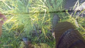 Спиннинг ДОЮЙ Black Dragon-2,28 м,1-7 гр. .Обзор на рыбалке #МИКРОДЖИГ!